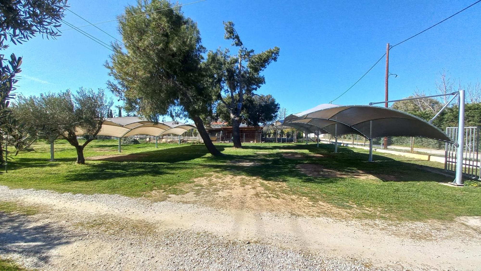ניקיטי Sapfo Beach Studios מראה חיצוני תמונה